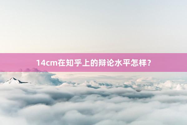 14cm在知乎上的辩论水平怎样？