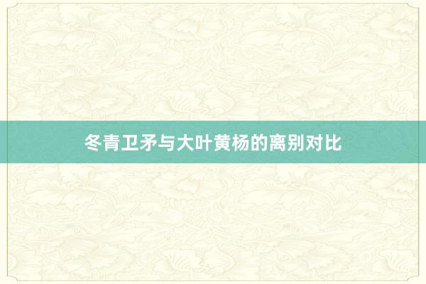 冬青卫矛与大叶黄杨的离别对比